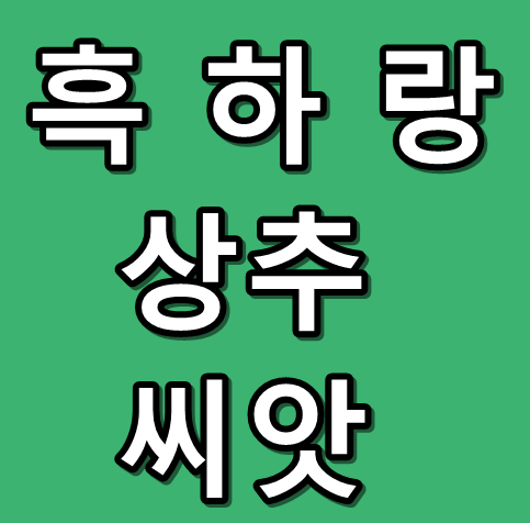 흑하랑 상추씨앗 텍스트 이미지 썸네일 활용