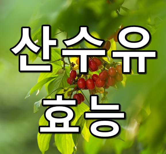 산수유 효능 썸네일