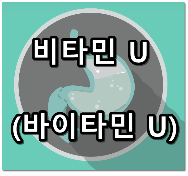 비타민U 텍스트 썸네일